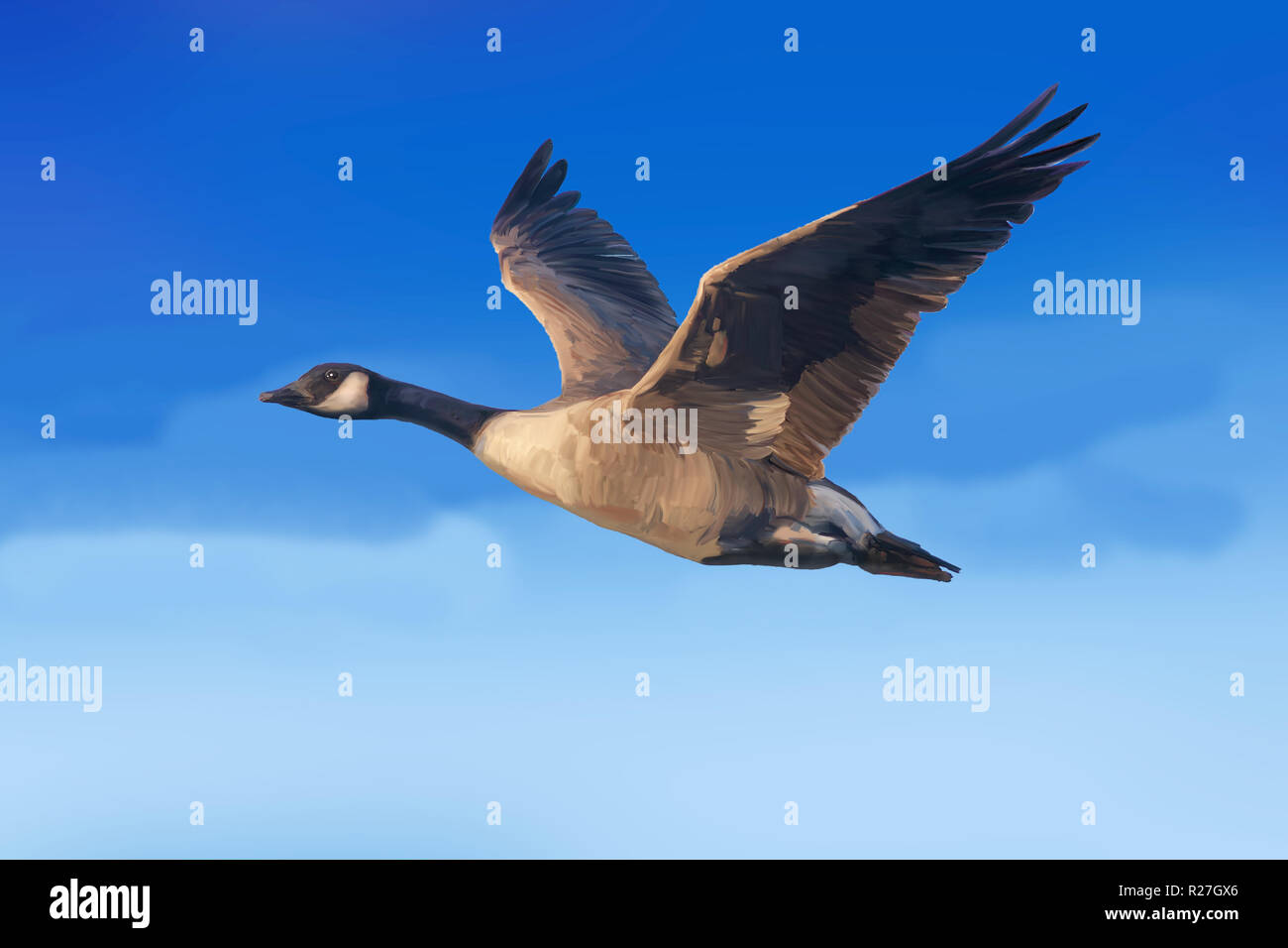 Canada Goose flying creative art Stock Photo