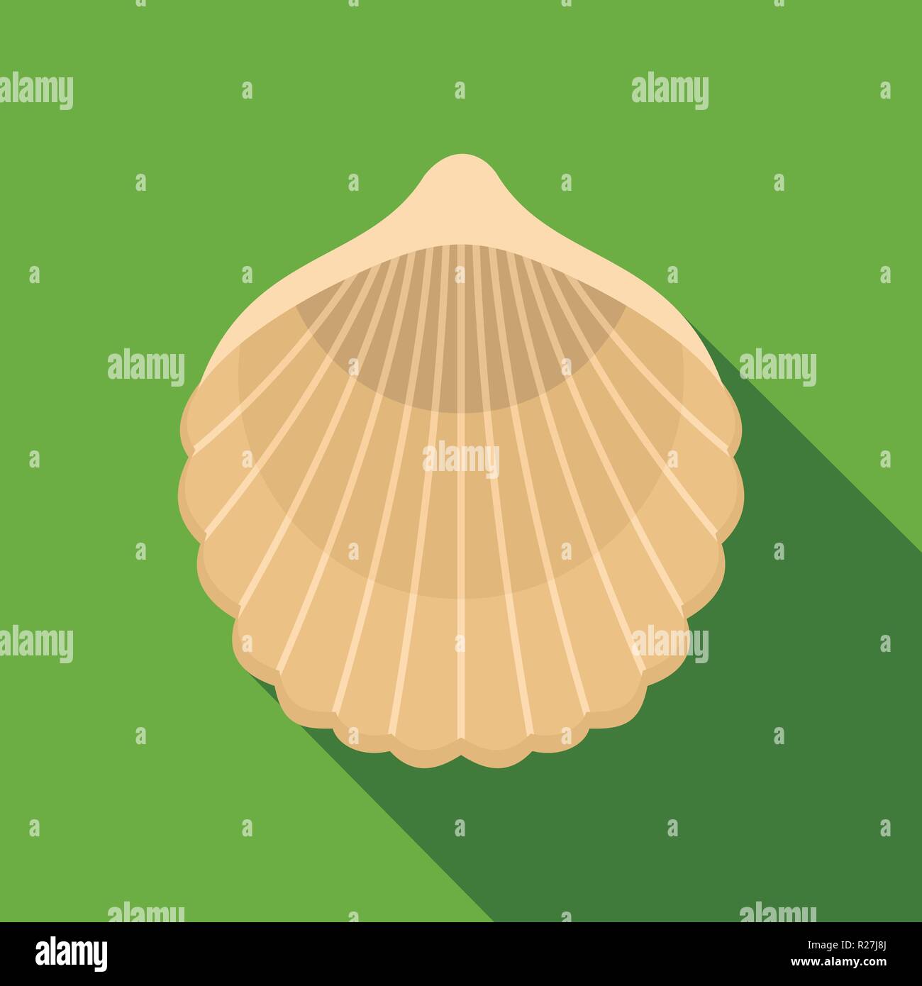 Beautiful shell icon. Flat illustration of beautiful shell vector icon ...