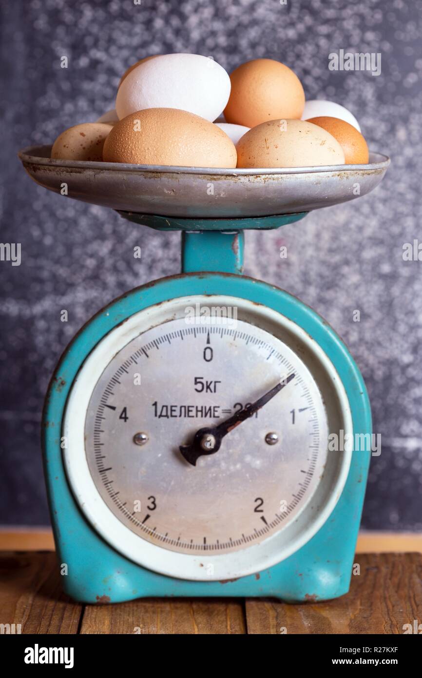 Egg on weight scale stock photo. Image of nature, object - 116502908