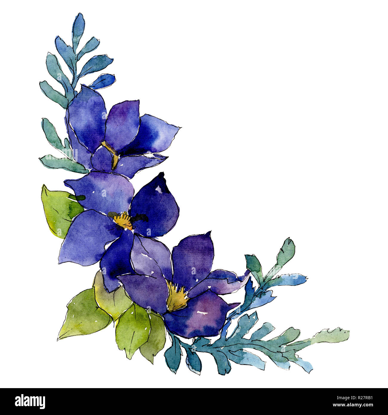 Blue flowers. Isolated flower illustration element. Background