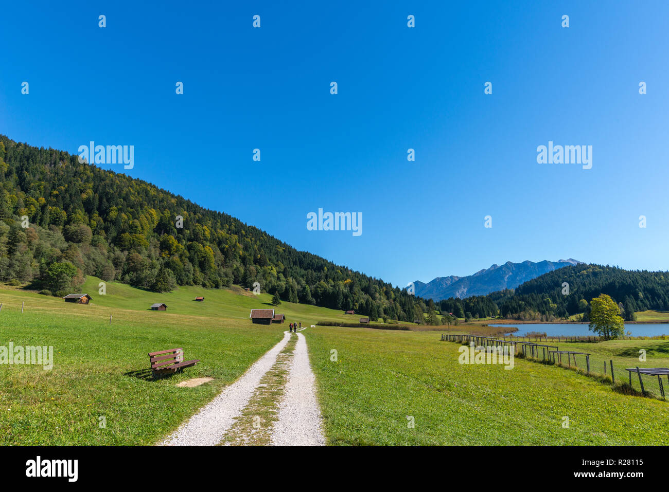Buckelwiesen or hummocky meadows in the village of Gerold, Krün, foothills of the Alps, Upper Bavaria, Bavaria, South Germany, Europe Stock Photo