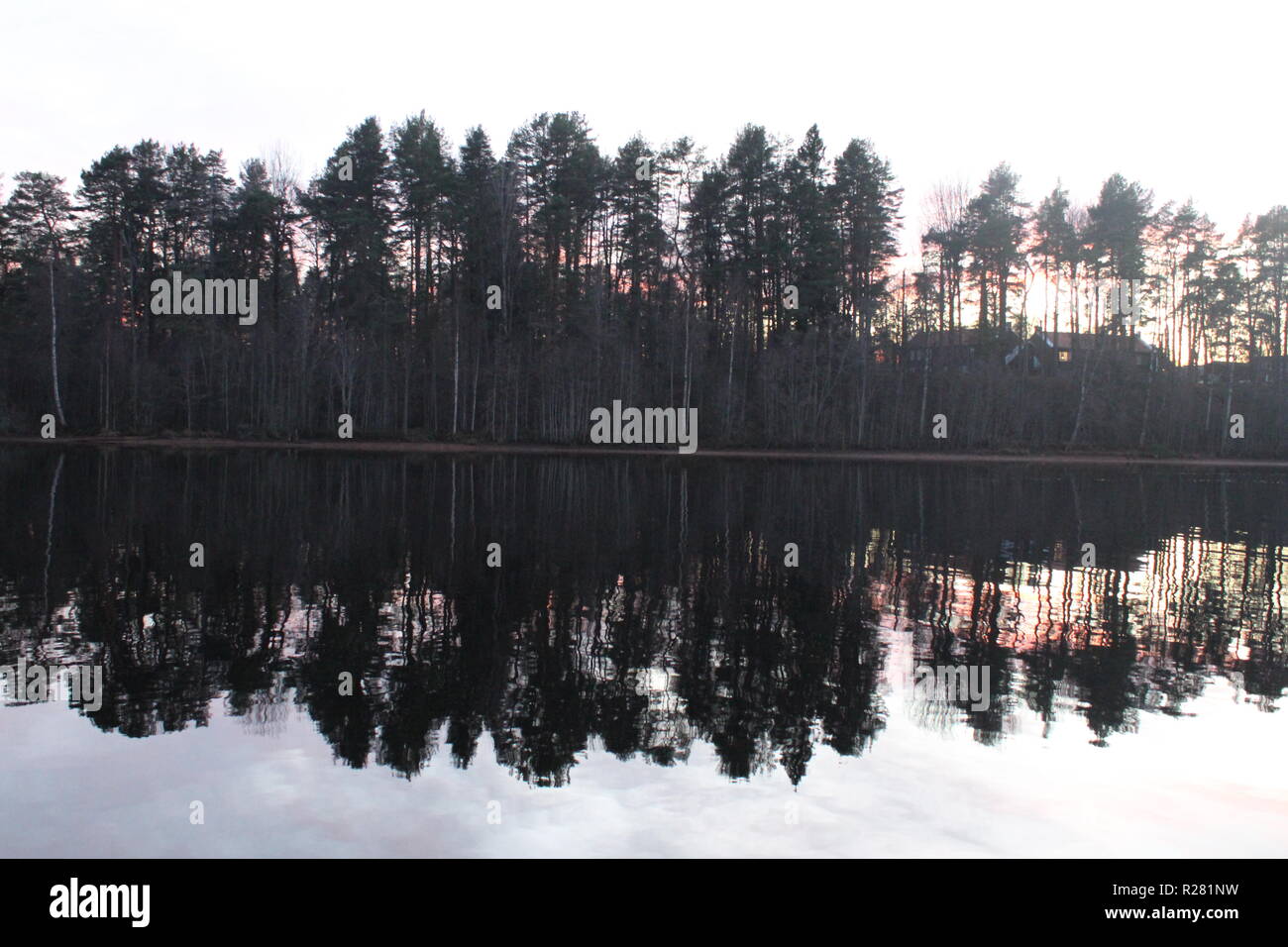 Tree reflections over a lake Stock Photo - Alamy