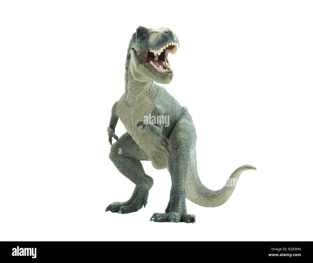 dinosaur t rex Stock Photo