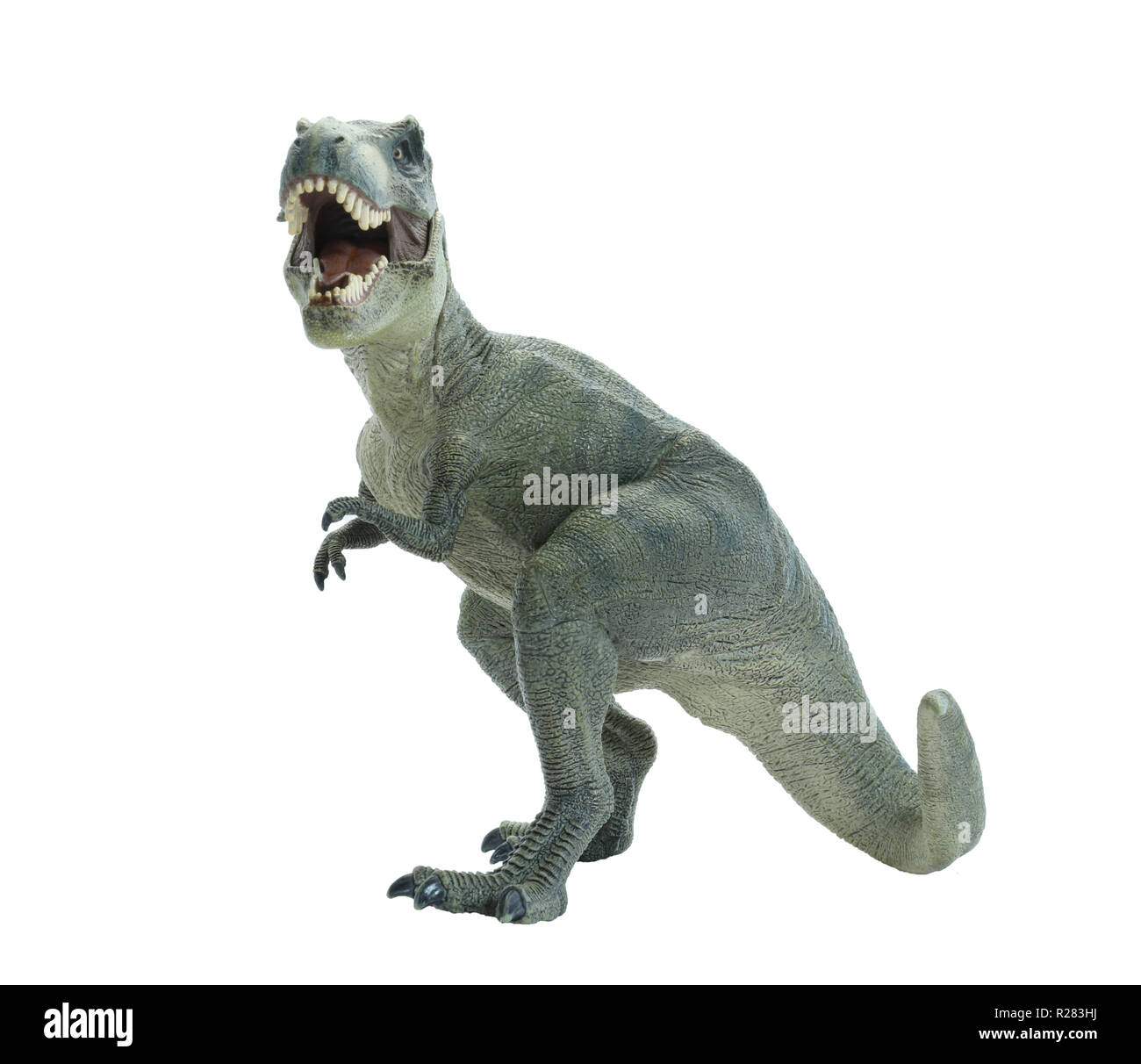 dinosaur t rex Stock Photo