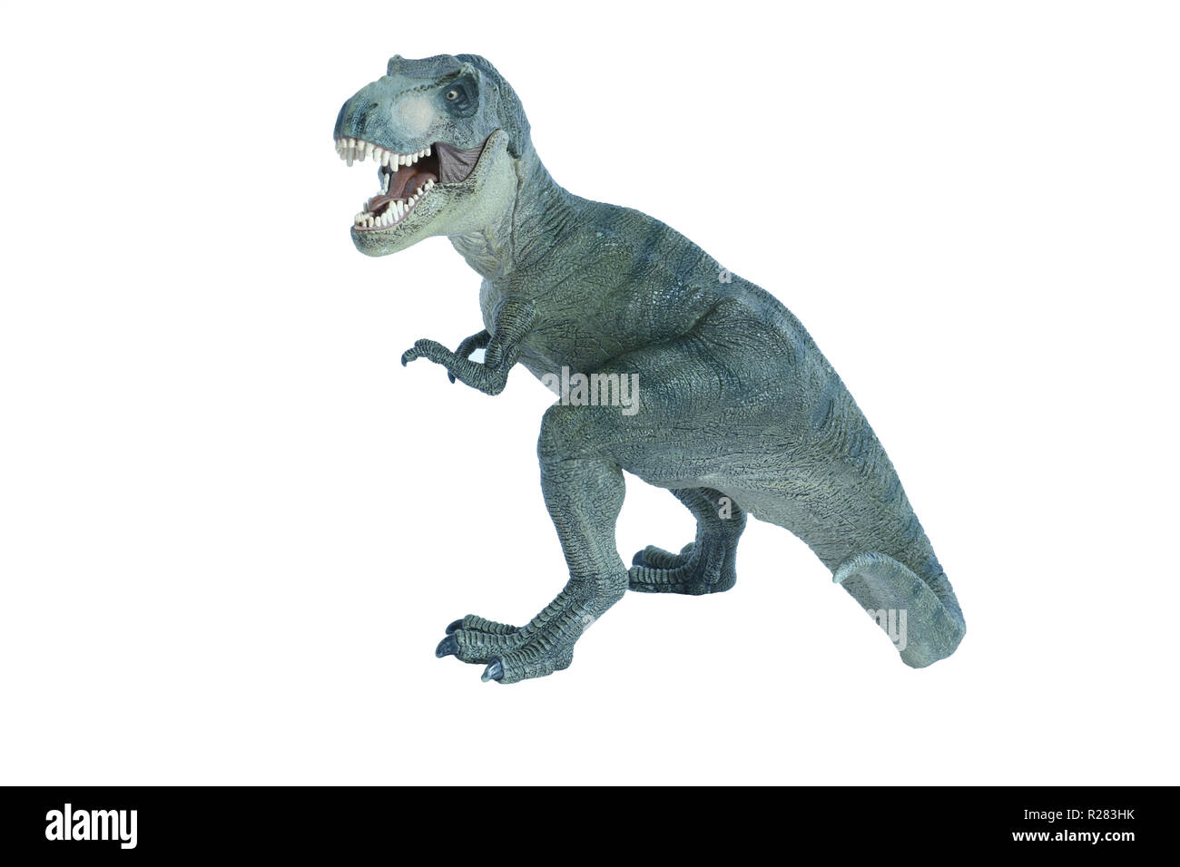 dinosaur t rex Stock Photo
