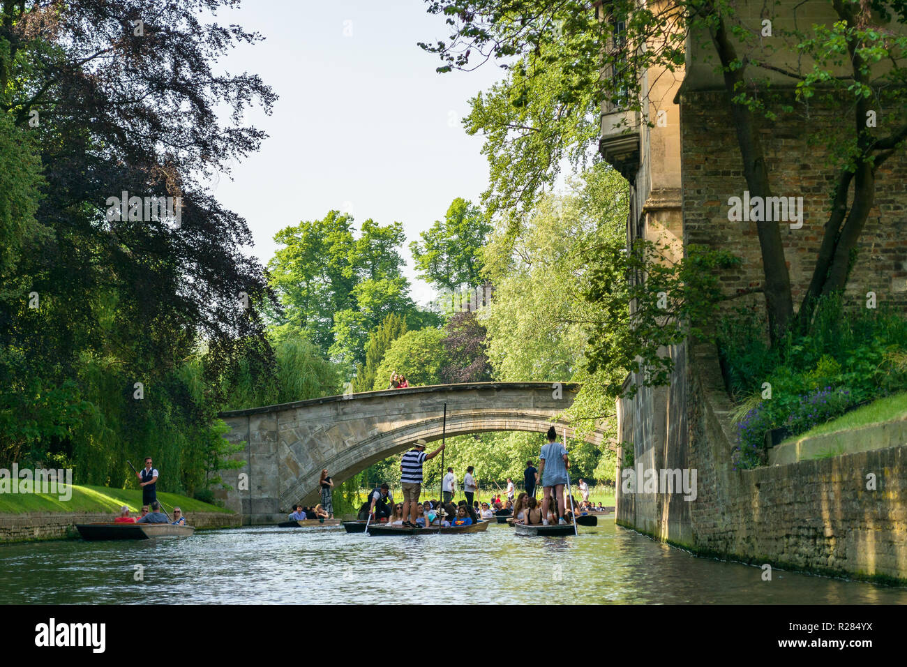 Several punt boats on a busy stretch of the river Cam near King's College Bridge, Cambridge, UK Stock Photo