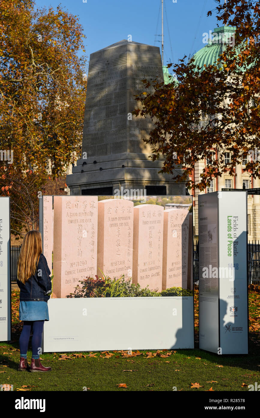 Bright sunny weather in London with Autumn colours on the trees. Female viewing the Fields of Battle Lands of Peace 14-18 project photo display in St. James's Park. Stock Photo