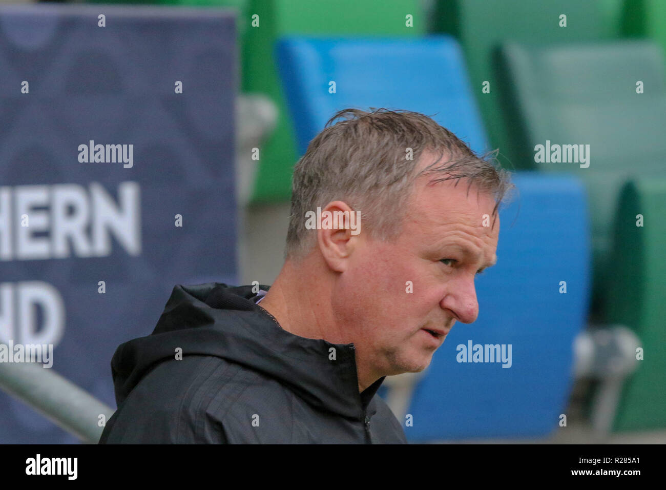 Windsor Park, Belfast, Northern Ireland.17 November 2018. Northern Ireland training in Belfast this morning ahead of their UEFA Nations League game against Austria tomorrow night in the stadium. Northern ireland manager Michael O'Neill at training. Credit: David Hunter/Alamy Live News. Stock Photo