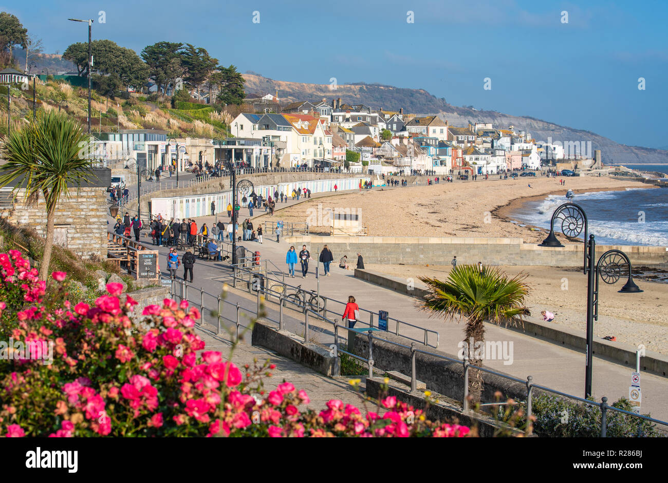 Lyme Regis, Dorset, UK. 17th November 2018.  UK Weather:  Visitors make the best of a bright and sunny afternoon by the seaside as Lyme Regis basks in a weekend of beautiful autumn sunshine ahead of the plummeting termparatures and bitingly cold conditions forecast across Britian next next week.  Credit: Celia McMahon/Alamy Live News Stock Photo