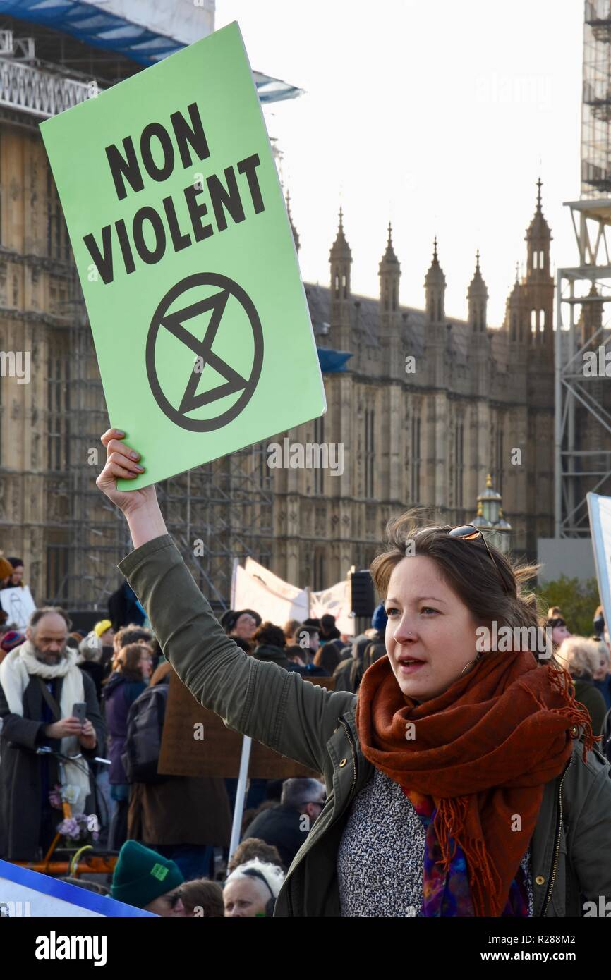 London, UK. 17th November 2018. Climate change activists from Extinction Rebellion occupied Westminster Bridge and four other London Bridges in a non violent protest,London.UK Credit: michael melia/Alamy Live News Stock Photo