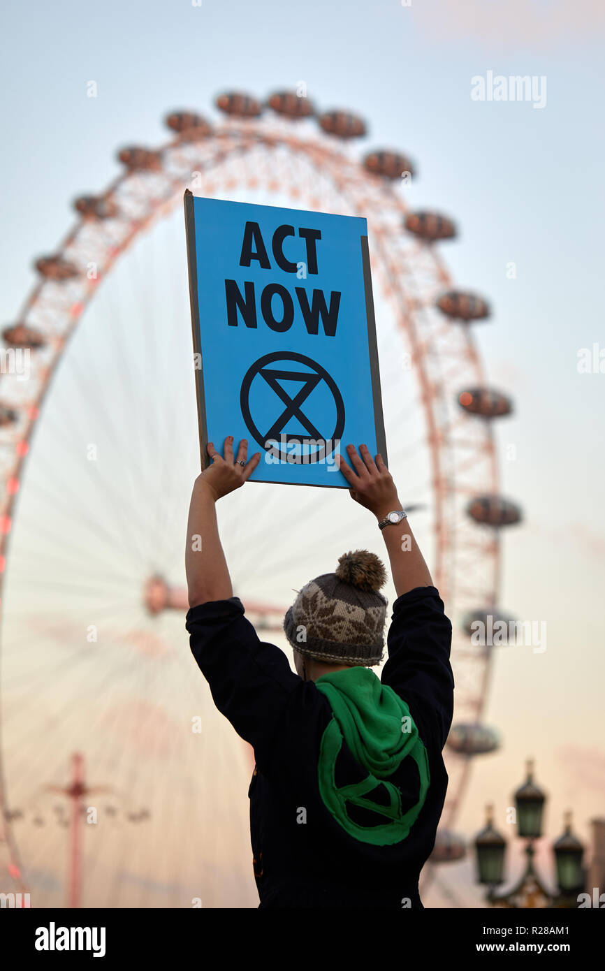 London, UK. - November 17, 2018: A protestor holds a banner on Westminster Bridge during the Extinction Rebellion Climate March. Credit: Kevin J. Frost/Alamy Live News Stock Photo