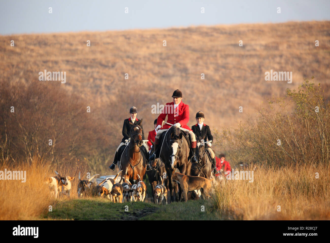 Of holcombe road hi-res stock photography and images - Alamy