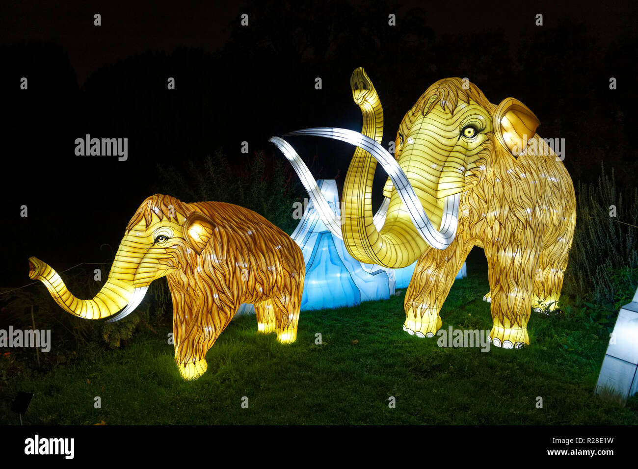 Paris, France. 16th Nov, 2018. Luminous statues representing extinct or endangered  animals greet the public at