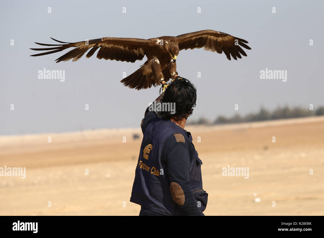 Wfd Stock Photos Wfd Stock Images Alamy