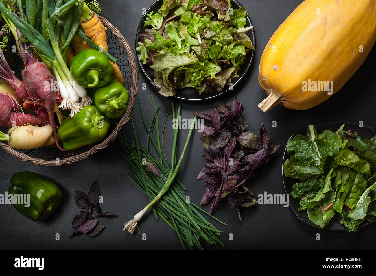 Fresh vegetables including winter squash, chard, mixed lettuce greens, green peppers, onions, carrots, purple basil, and chives on a black background. Stock Photo