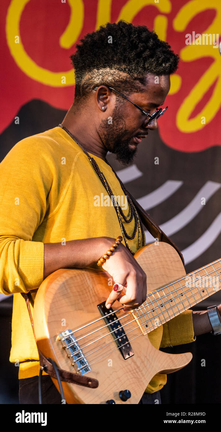 BEN WILLIAMS on base for JOSE JAMES celebrating Bill Withers on the Garden  Stage at the 61st Monterey Jazz Festival - MONTEREY, CALIFORNIA Stock Photo  - Alamy, image size:712x1390