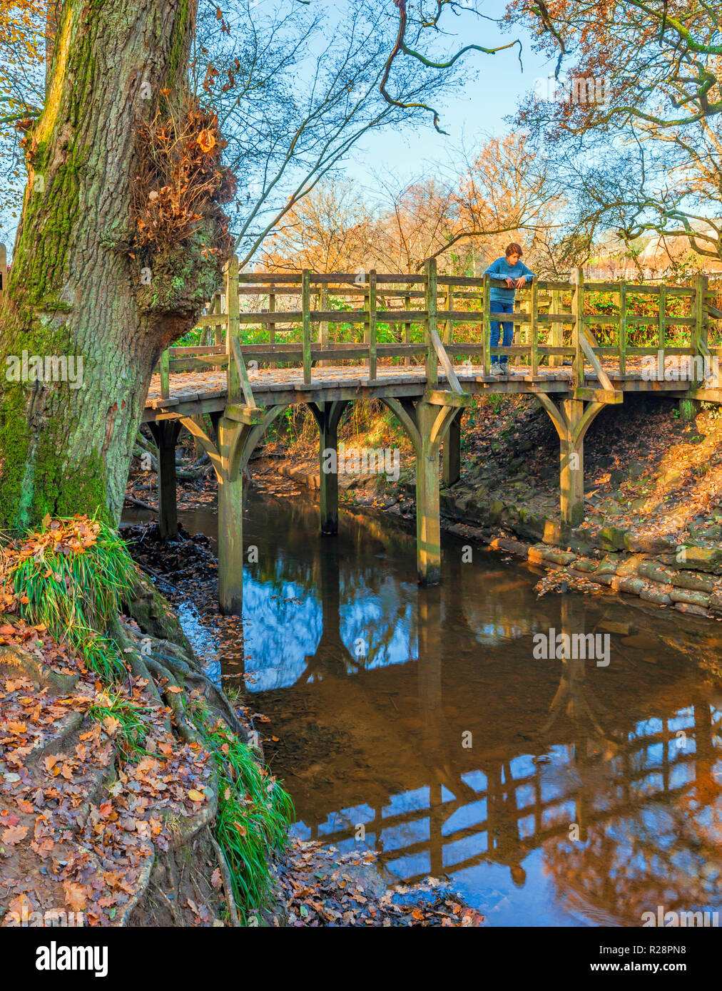 Pooh Sticks Bridge Ashdown Forest. Stock Photo