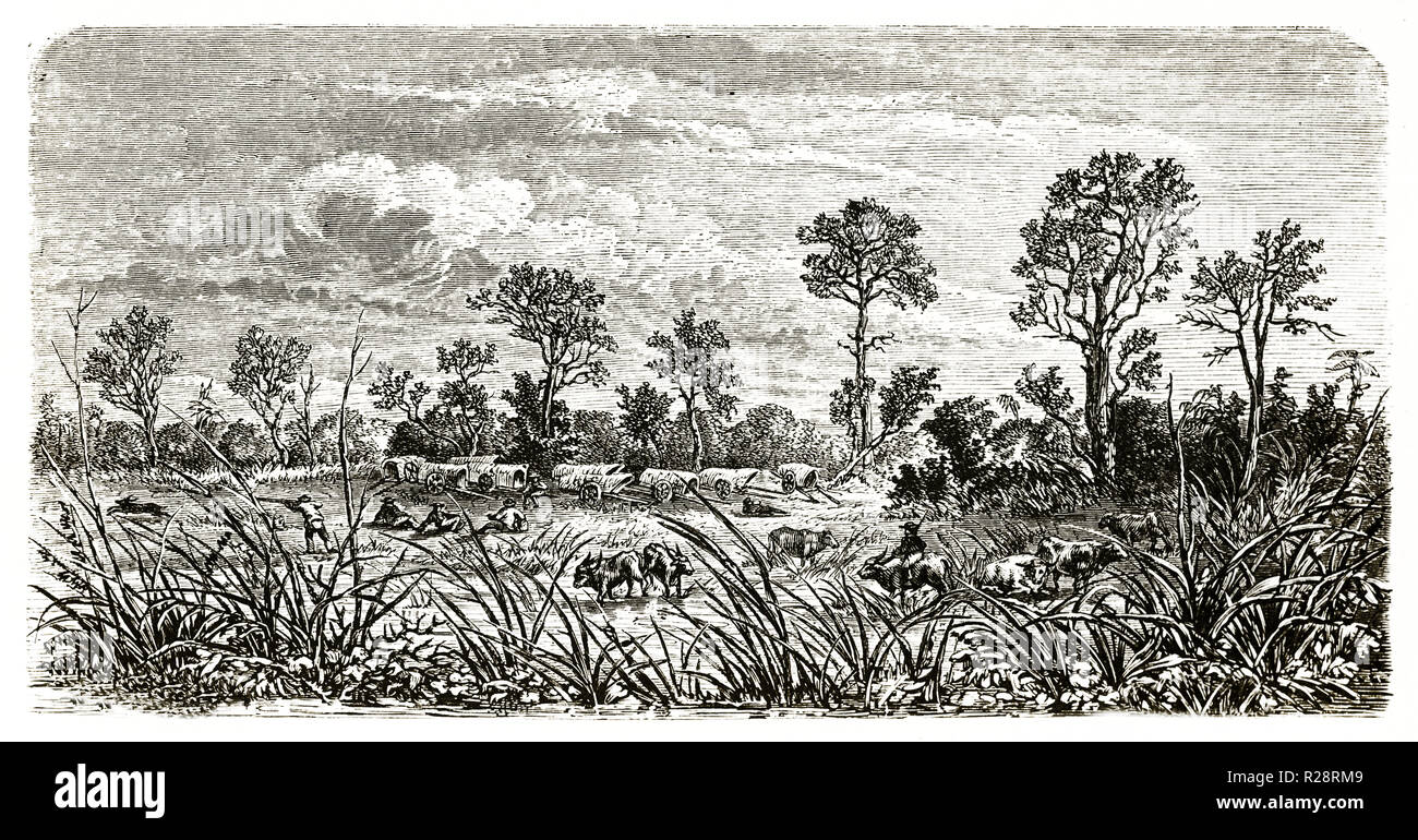 Old illustration depicting travelers caravan resting in Cambodian jungle. By Catenacci after Mouhot, publ. on le Tour du Monde, Paris, 1863 Stock Photo