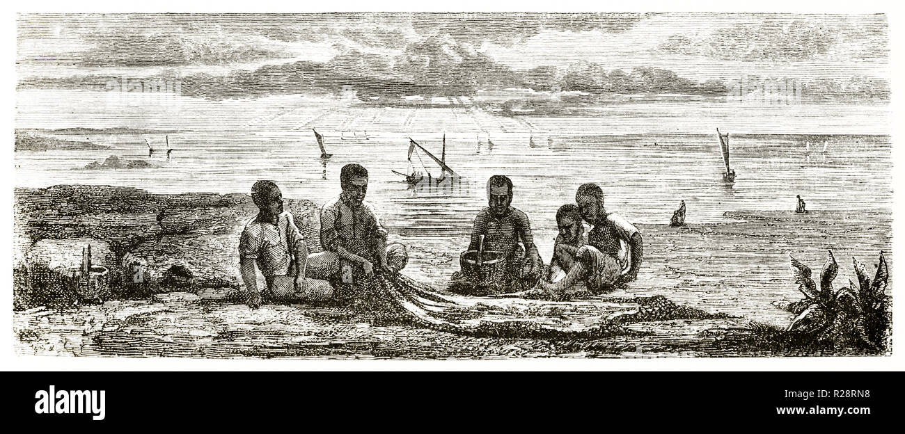 Old illustration of sea cucumber fishermen in Thailand. By Bocourt after Mouhot, publ. on le Tour du Monde, Paris, 1863 Stock Photo