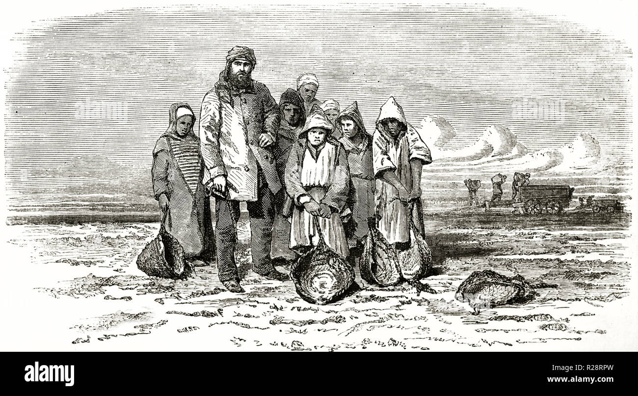 Old illustration of Suez Canal excavation workers. By Grenet, publ. on le Tour du Monde, Paris, 1863 Stock Photo