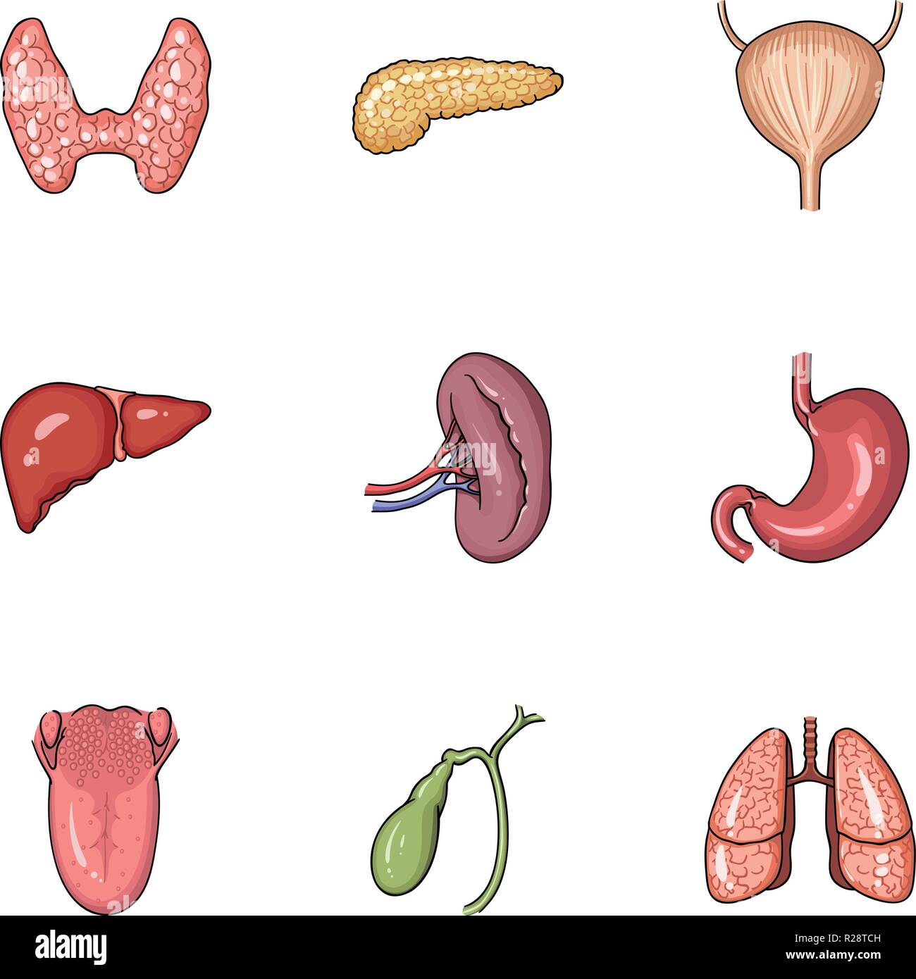 Human organs set icons in cartoon design. Big collection of human ...