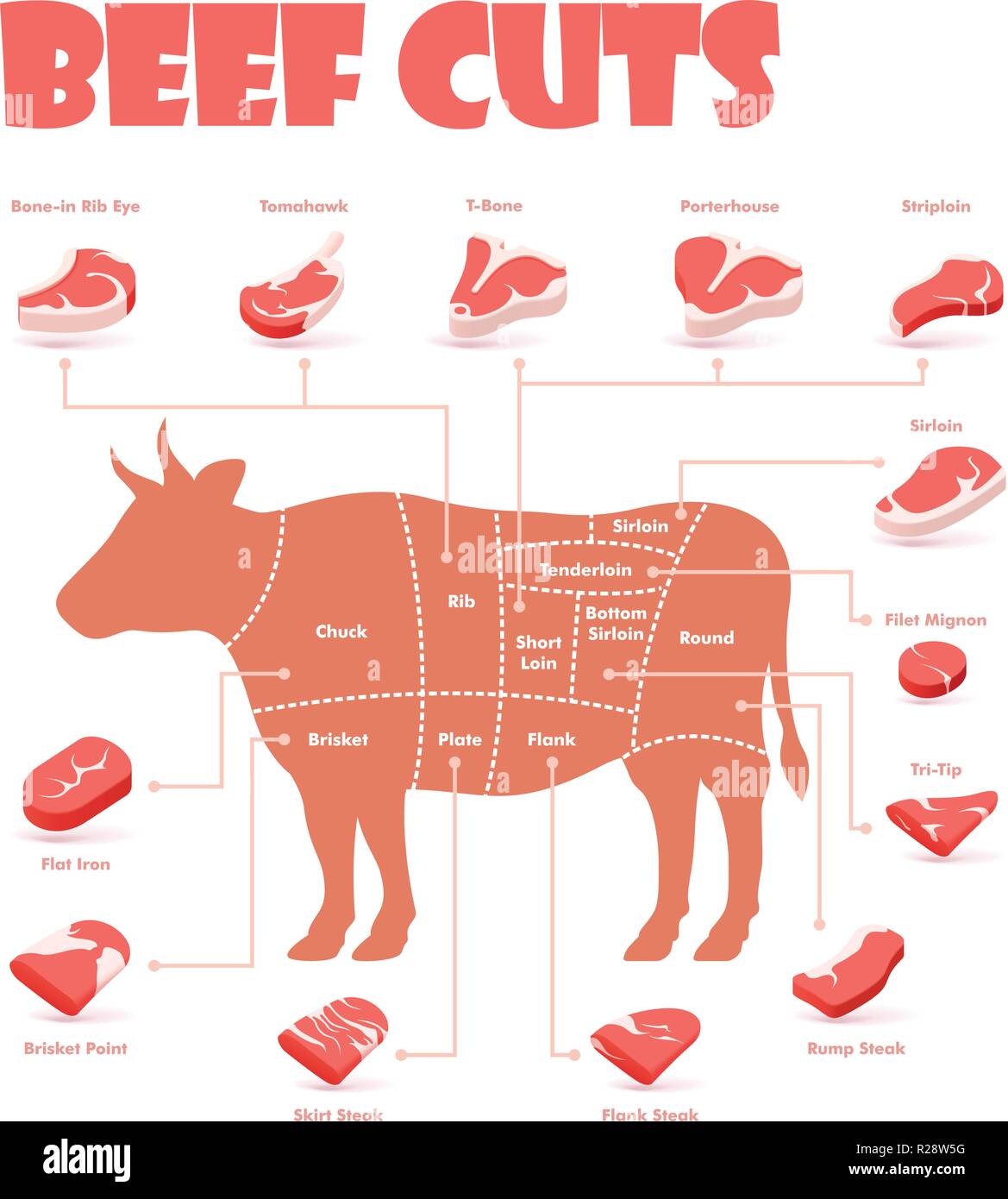 Vector beef cuts chart Stock Vector