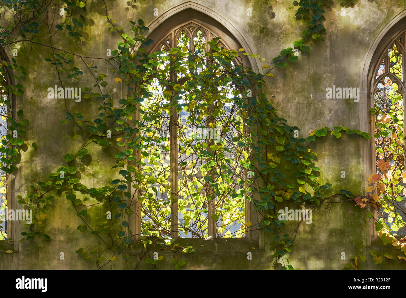 Perpendicular windows of the ruined church of St Dunstan in the East, in the city of London, UK Stock Photo