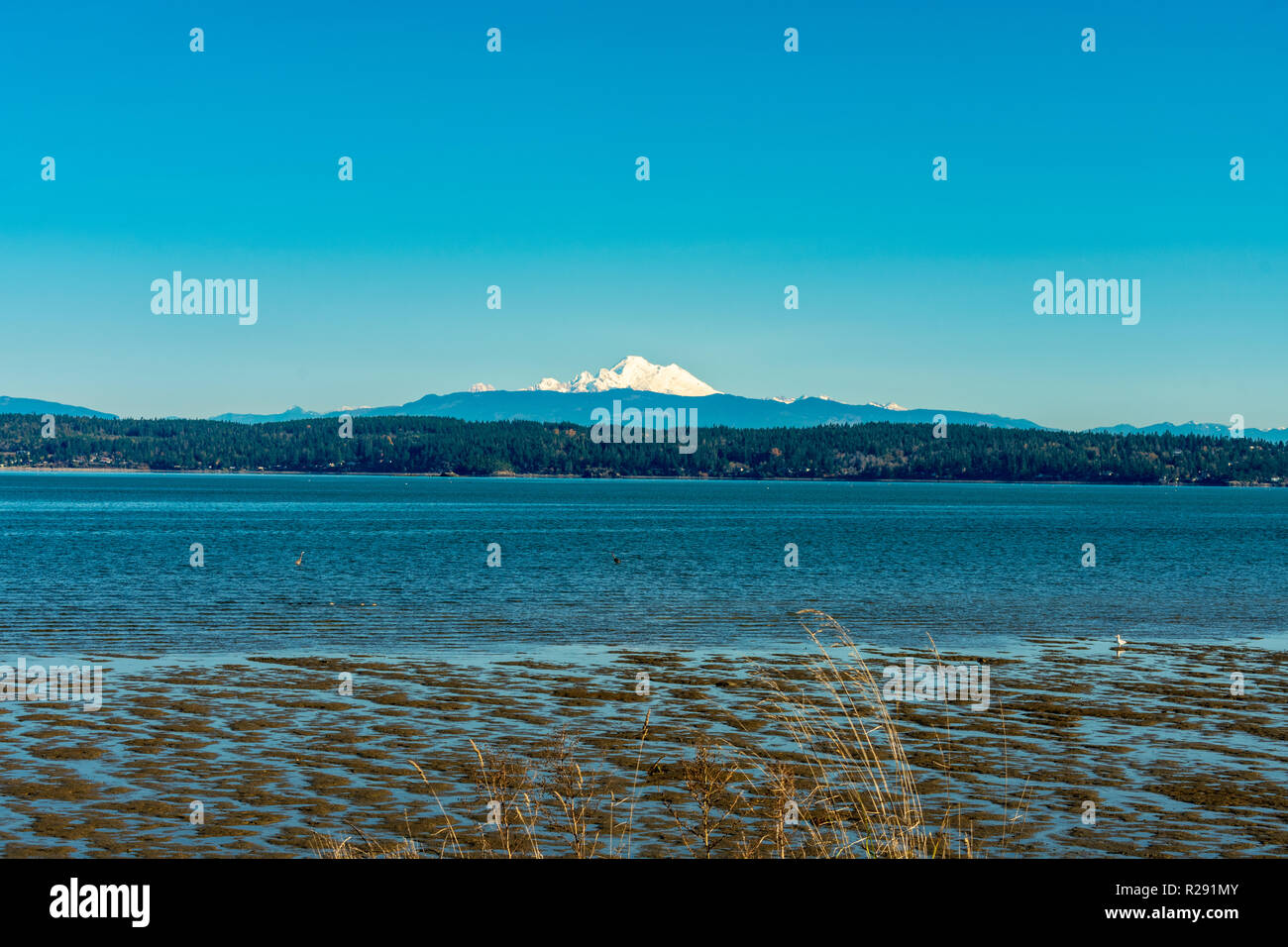 New Snow on Mt. Baker in Early Fall Stock Photo - Alamy