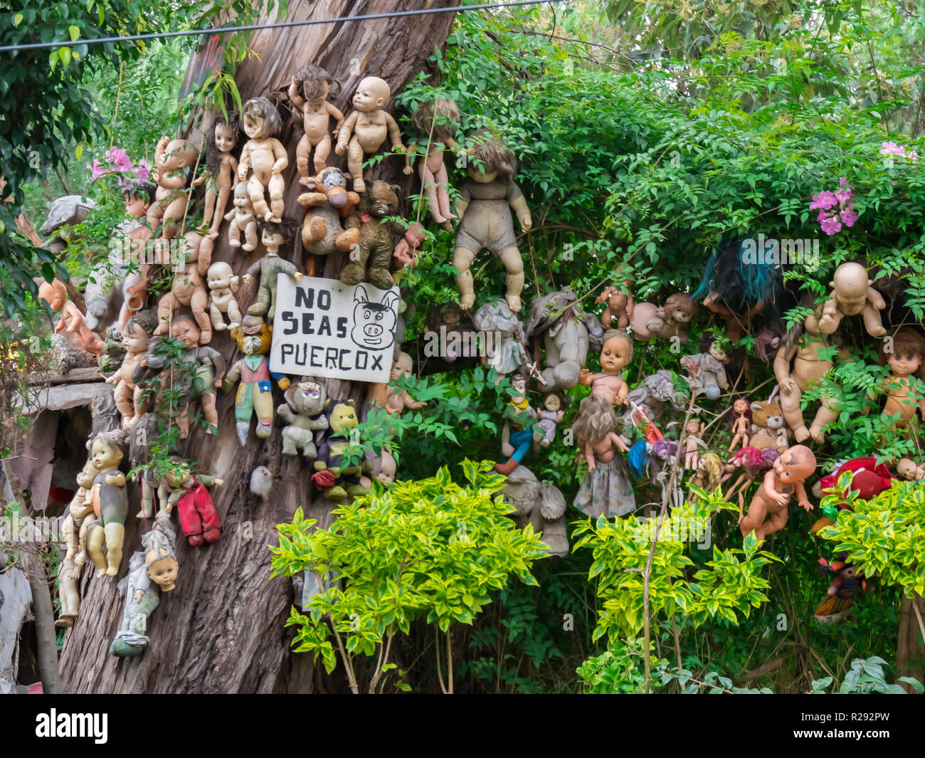 Island of dolls mexico hi-res stock photography and images - Alamy