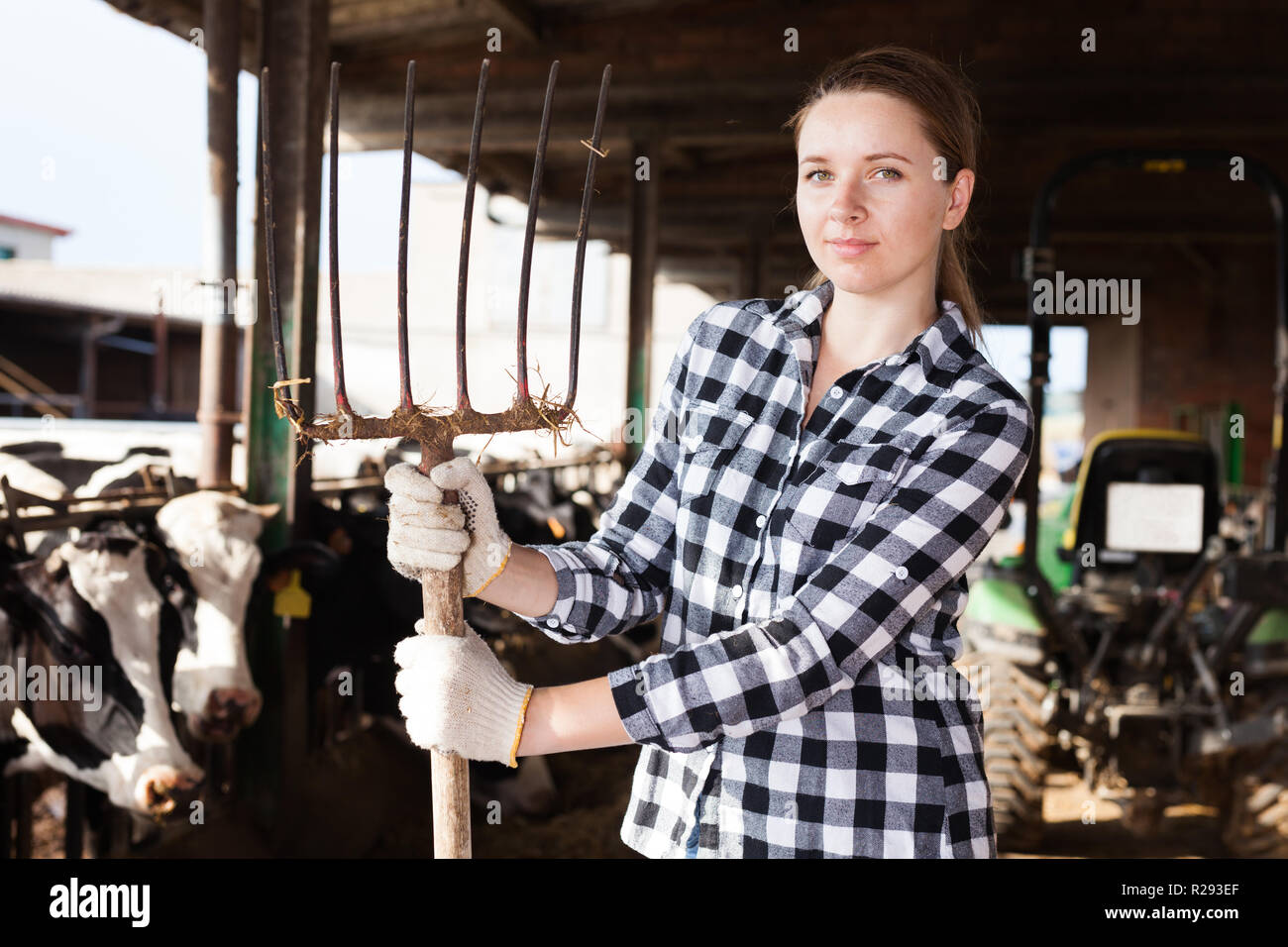 Positive female farmer posing in cowshed at dairy farm Stock Photo - Alamy