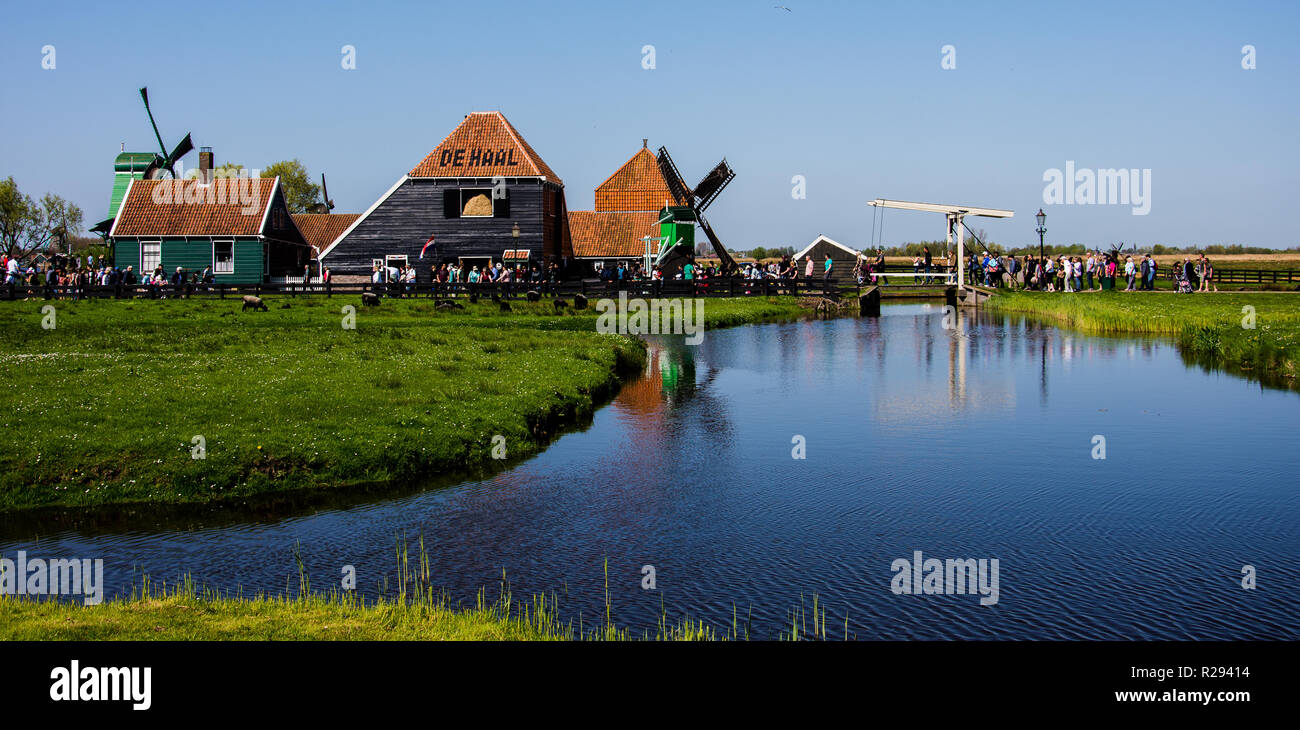 Windmills in Zaanse Schans Stock Photo