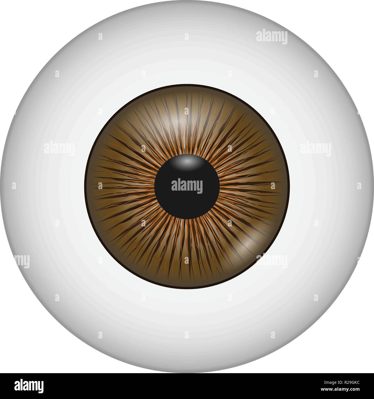 Eye lens icon. Realistic illustration of eye lens vector icon for web
