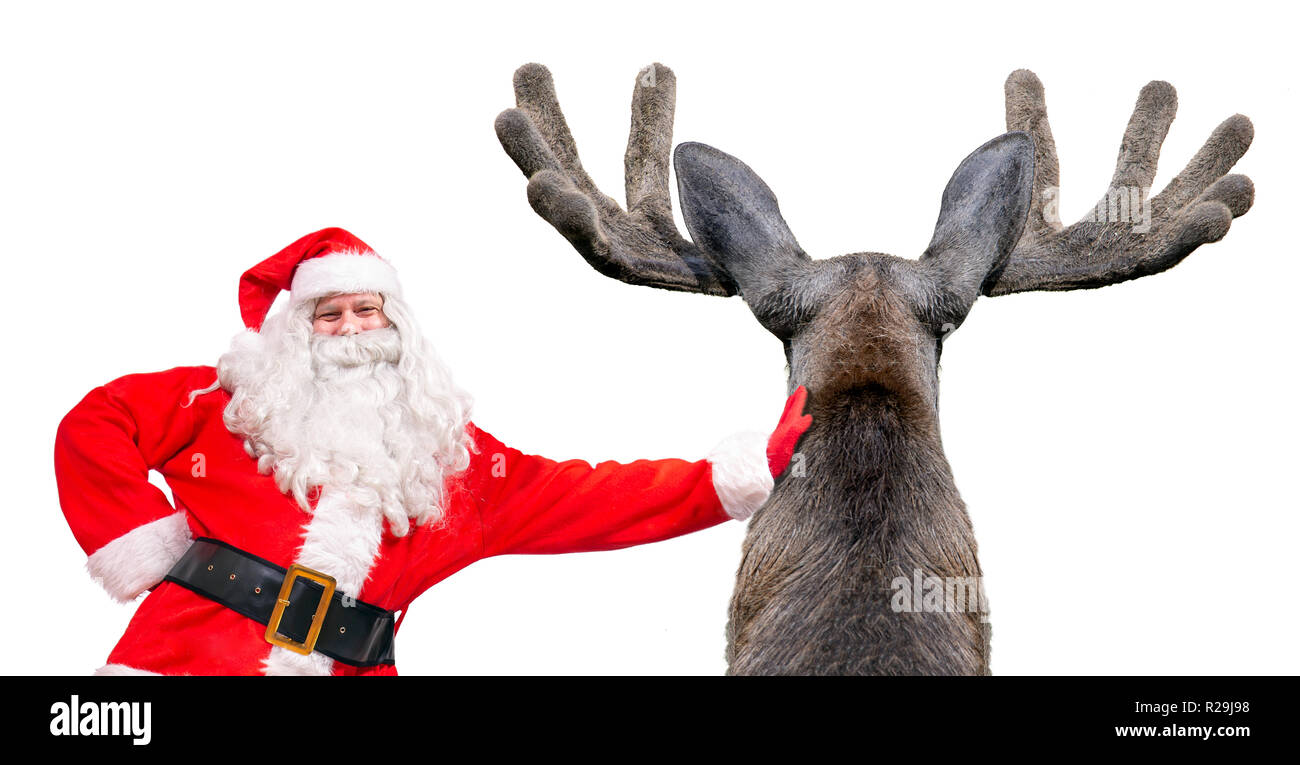 Cheerful Santa Claus stands beside moose, isolated on a white background. Funny Santa is leans about elk. Stock Photo