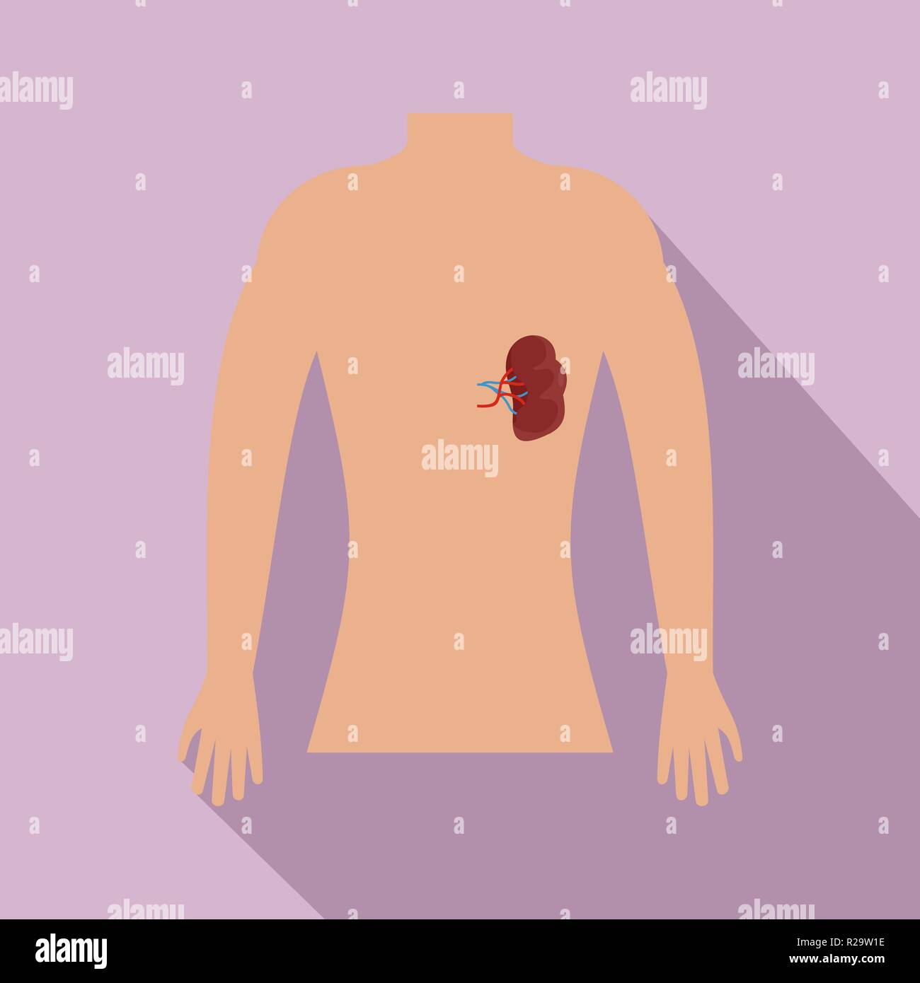 Human spleen icon. Flat illustration of human spleen vector icon for web design Stock Vector