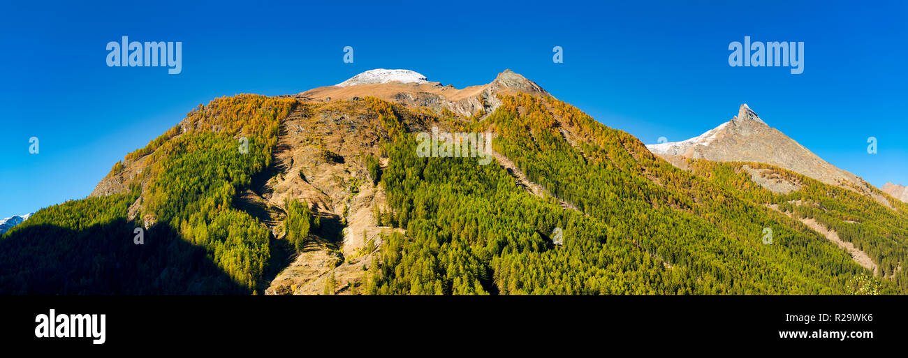 the summit of mountains with snow of Aosta Valley in a clear day and forest with first colors of autumn, Cogne - Italy Stock Photo