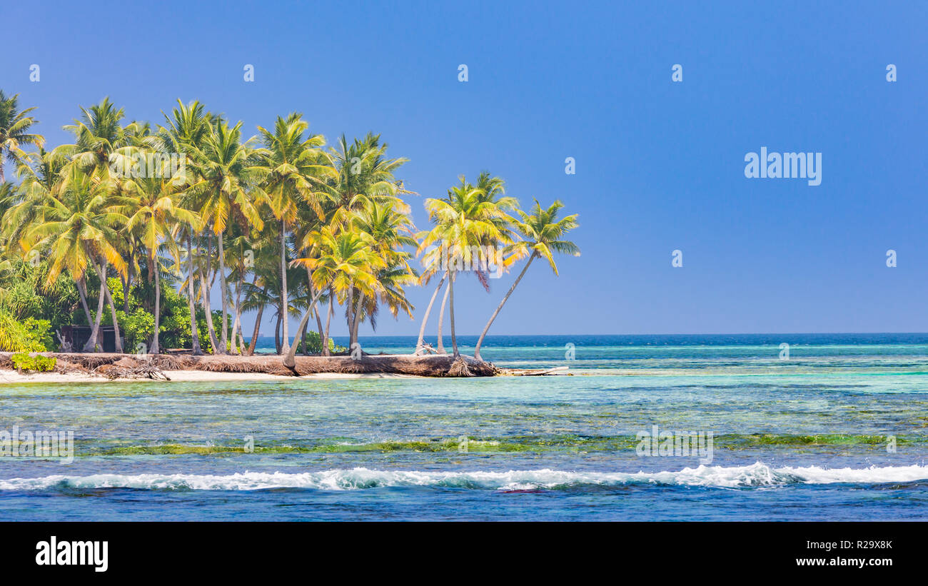 Beach blue sky sea palm trees sunny hi-res stock photography and images ...