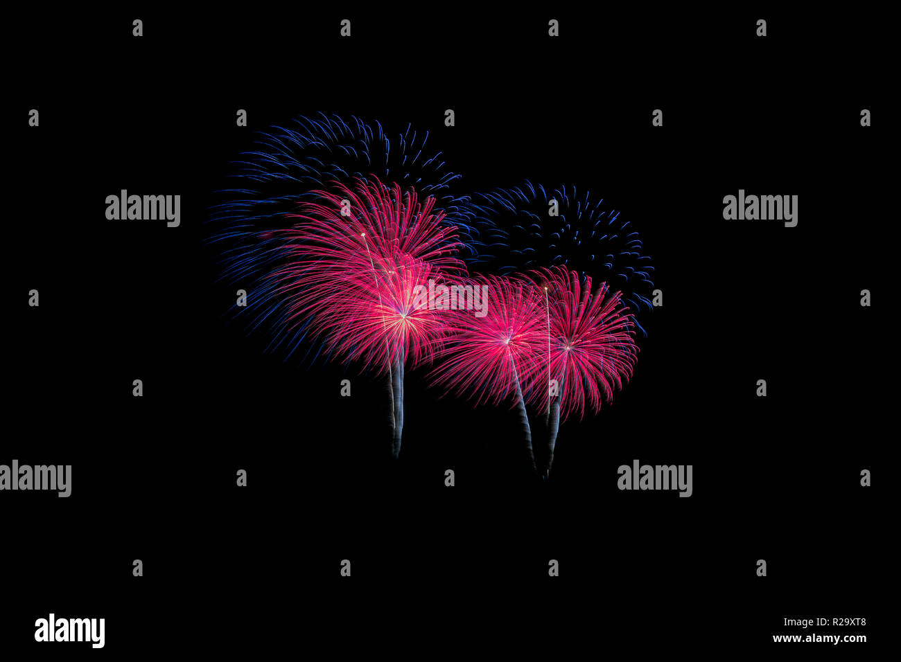 Colorful fireworks display against on night sky. Stock Photo