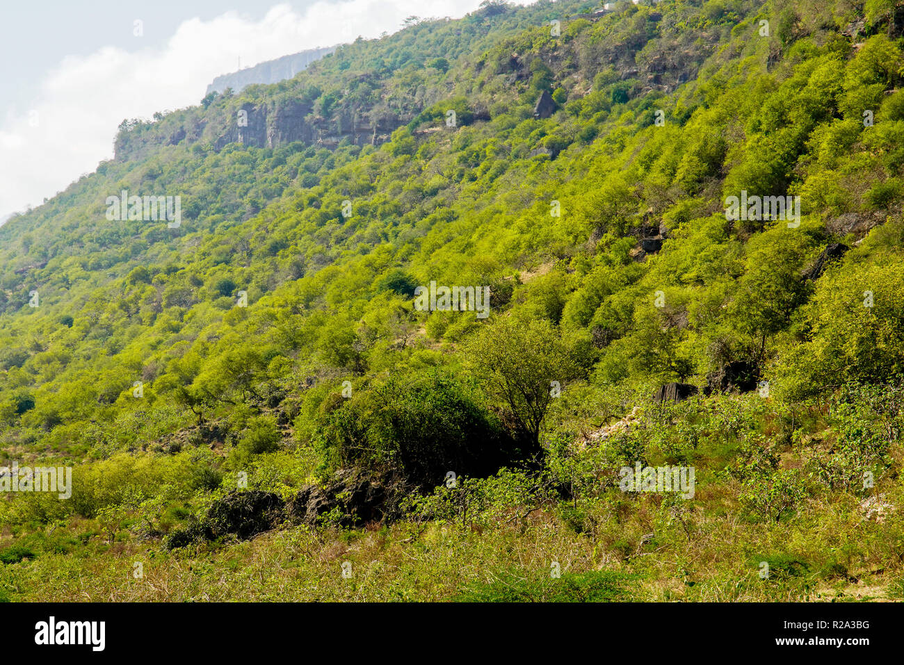 Landscape of the southern Dhofar Mountain Chaine, Jabal alQamar, Oman