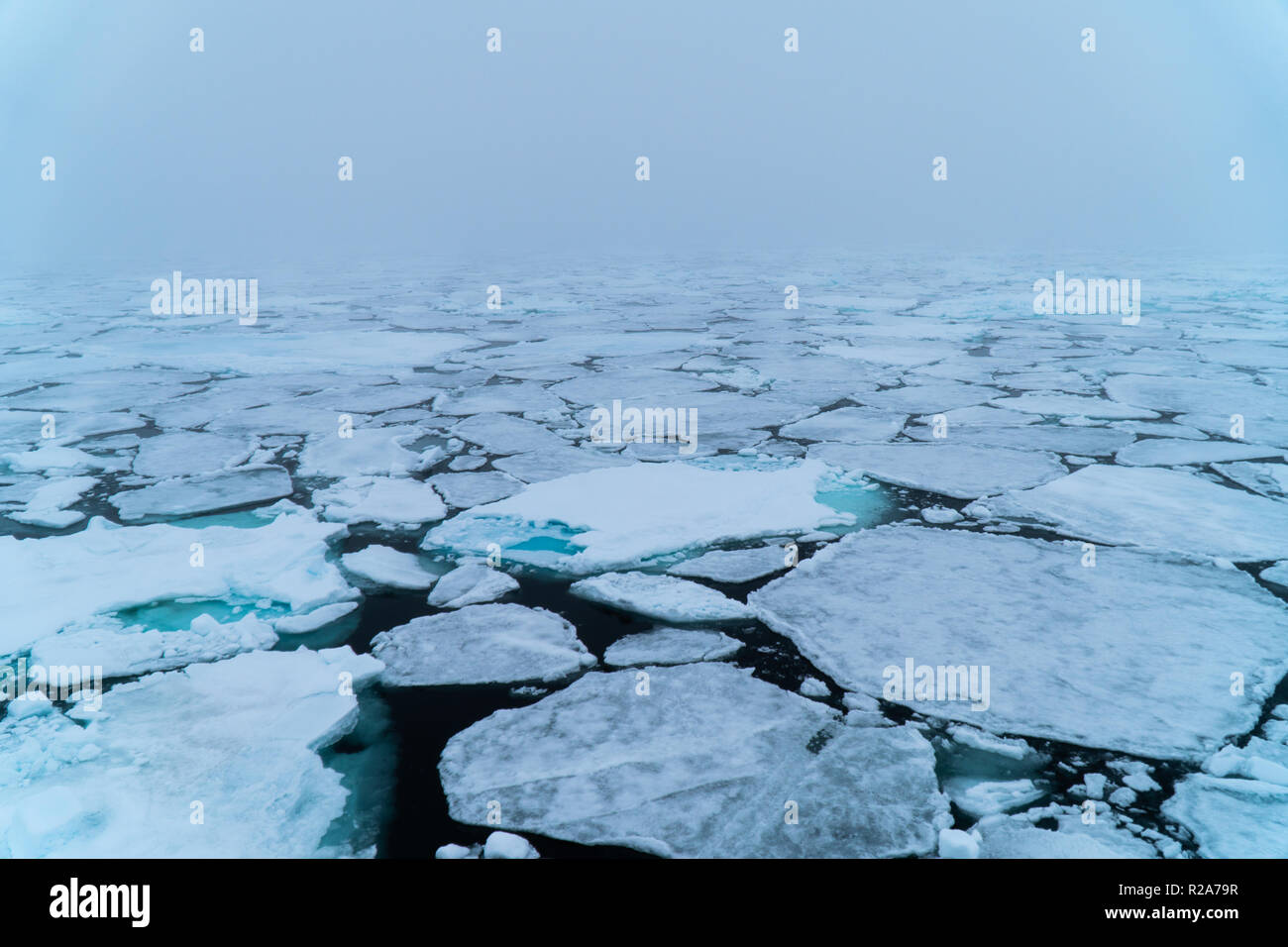 Arctic sea ice in Svalbard, Norway in June Stock Photo