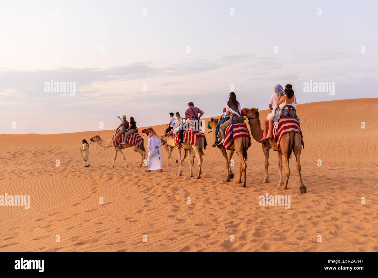 Camel ride dubai hi-res stock photography and images - Alamy