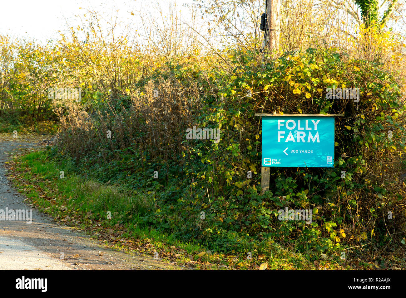 Folly farm centre hires stock photography and images Alamy