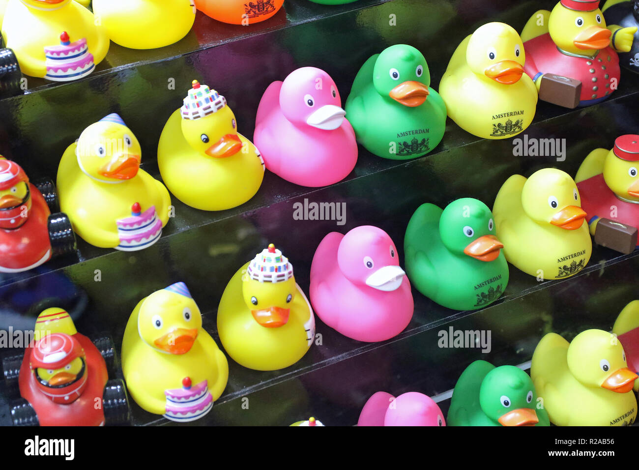 toy ducks for sale