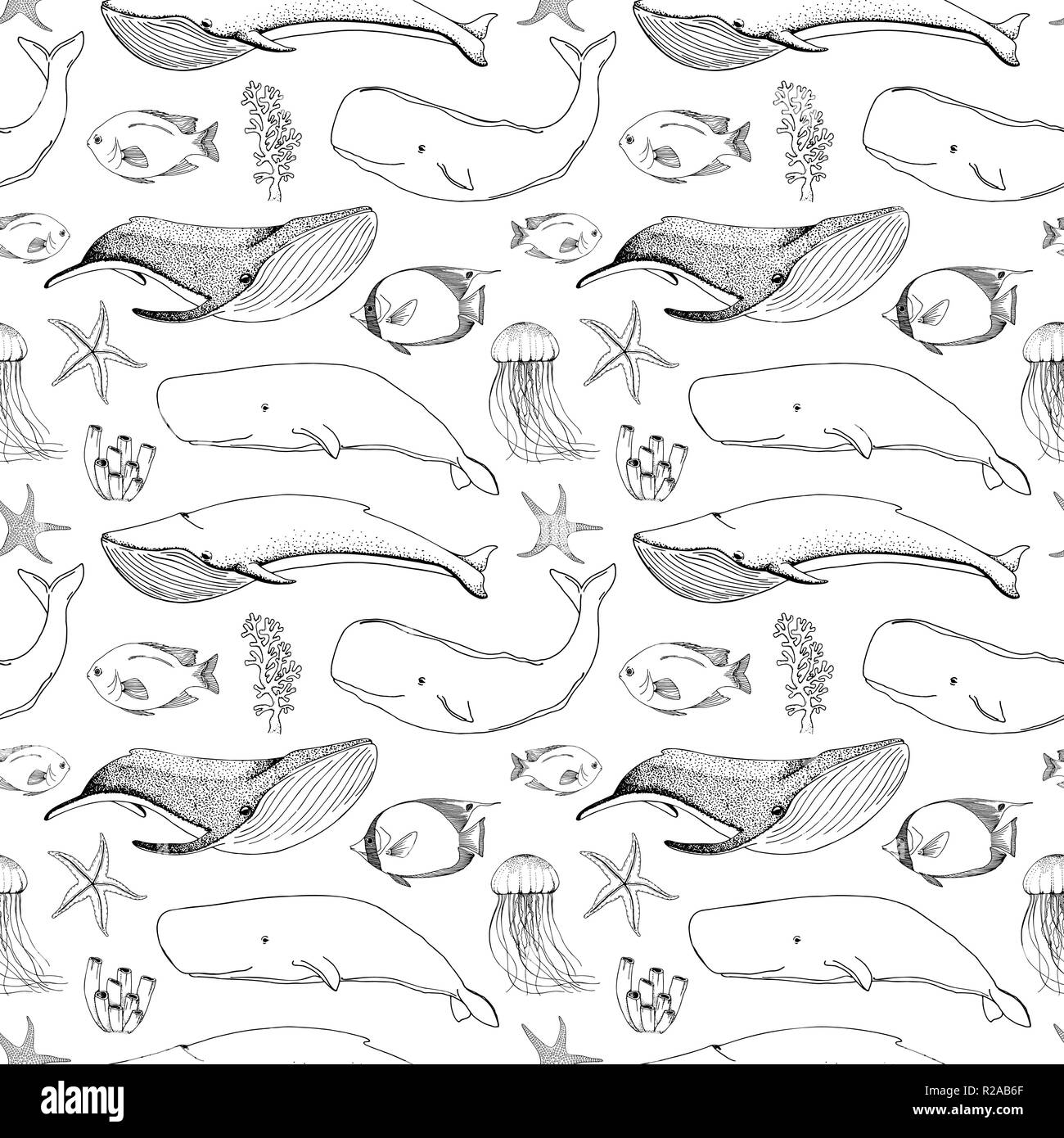 Seamless pattern with whales, orcs and other fishes. Vector Stock Vector