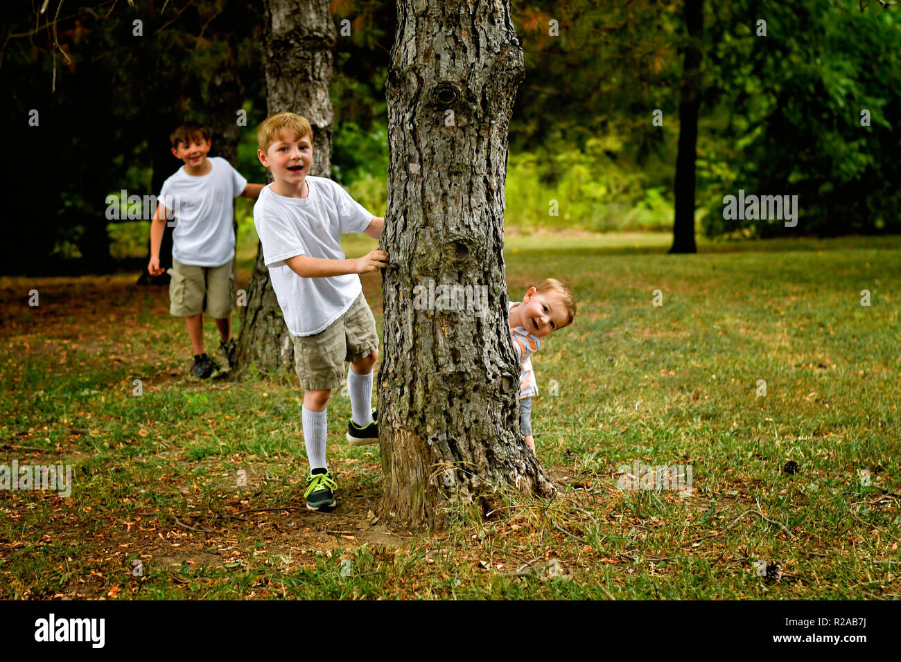 three boys playing peek a boo behind trees Stock Photo
