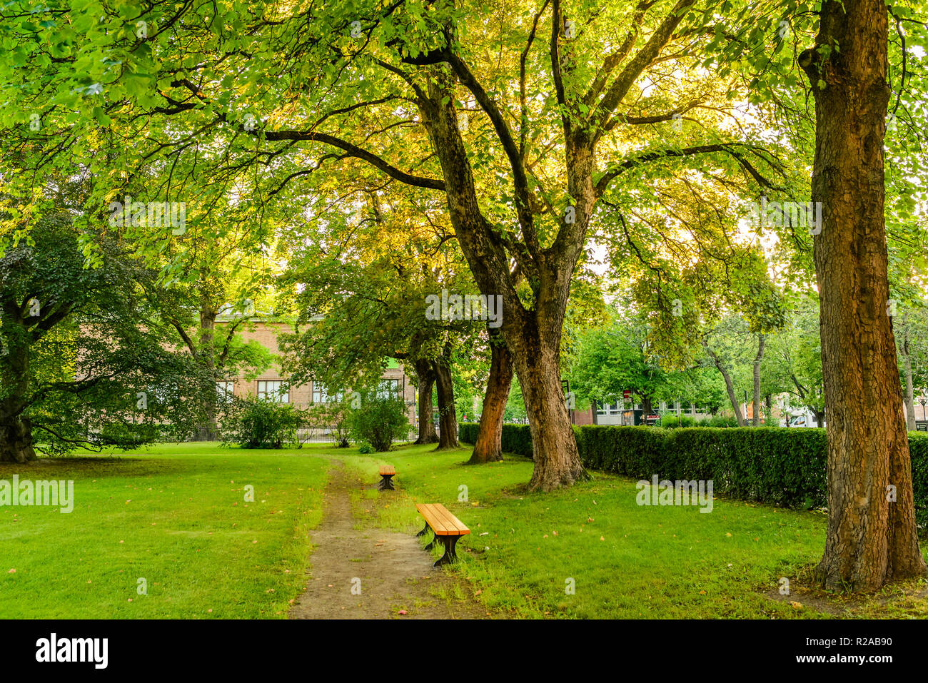 Two park benches under old trees. Stock Photo