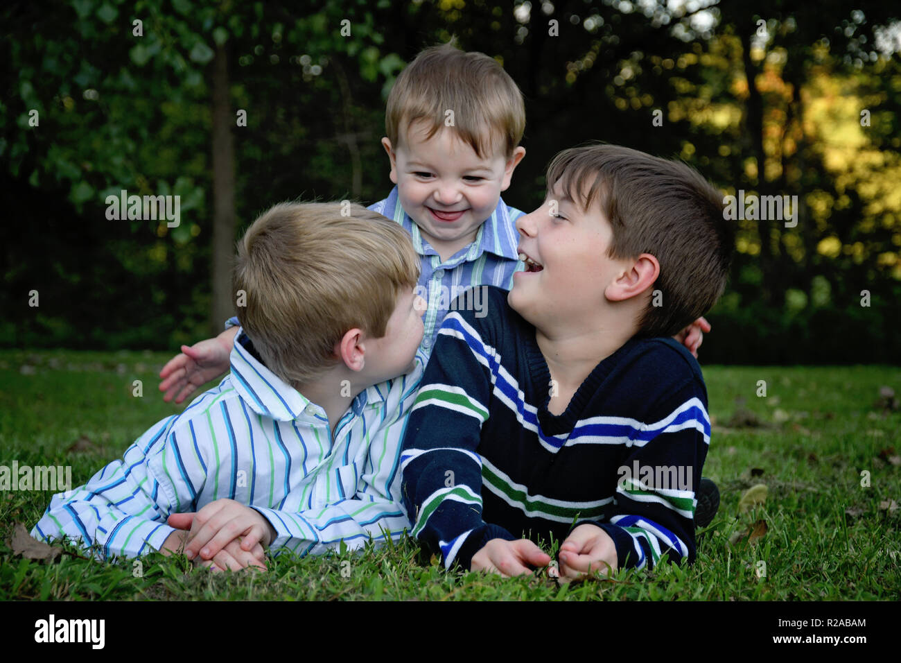 3 Brothers
