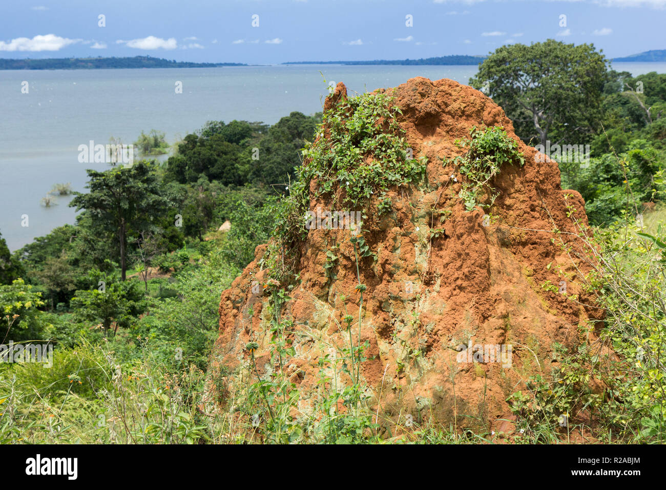 A termite ant hill (mound) in the wilderness. Lake Victoria is in the background. Photo taken in Busagazi, Uganda on May 03 2017. Stock Photo