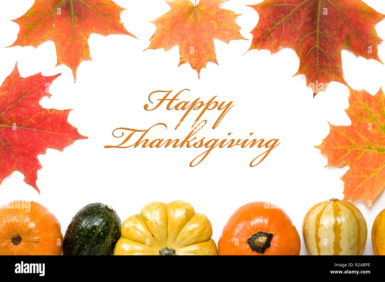 Happy Thanksgiving Text with Maple Leaves, Squash and Pumpkins on white ...