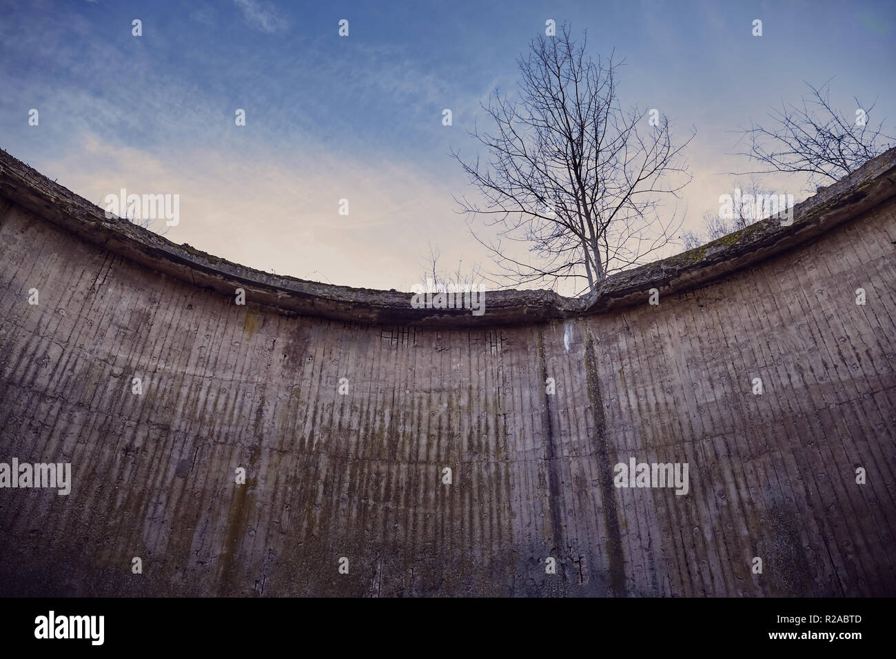 Lonely tree at the top of old concrete structure, color toned picture ...