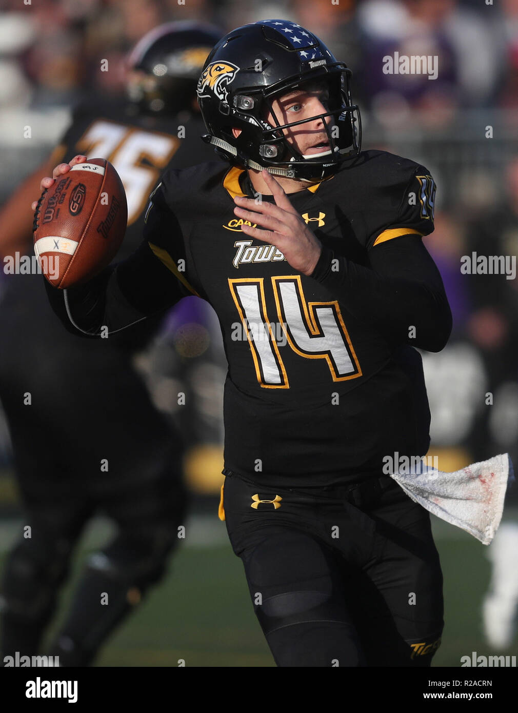 Towson QB Tom Flacco (14) looks to pass against James Madison in Colonial Athletic Association football action at Unitas Stadium in Towson, MD on November 17, 2018. The James Madison Dukes defeated the Towson Tigers 38-17. Photo/ Mike Buscher/ Cal Sport Media Stock Photo